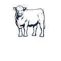 Brown logo